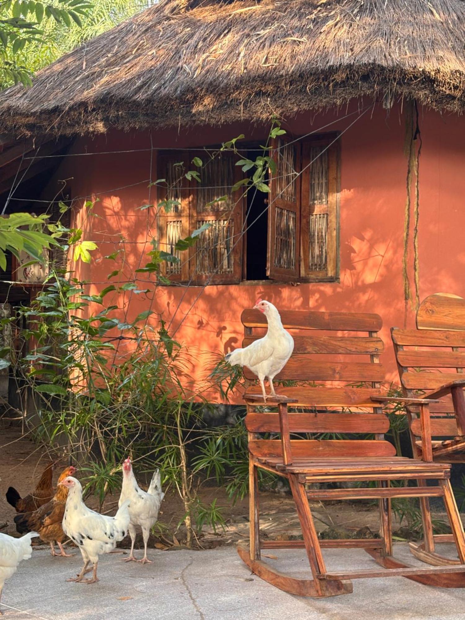 Fromagerlodge Кап Скиррен Экстерьер фото